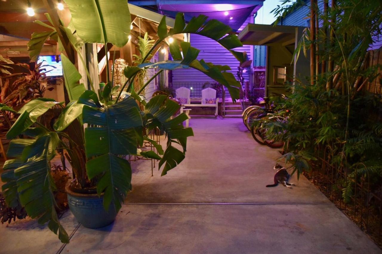 The Dragonfly Treme Guest House New Orleans Ngoại thất bức ảnh