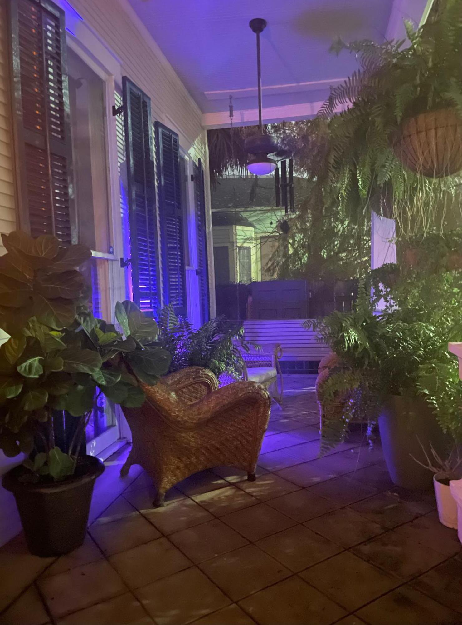 The Dragonfly Treme Guest House New Orleans Ngoại thất bức ảnh