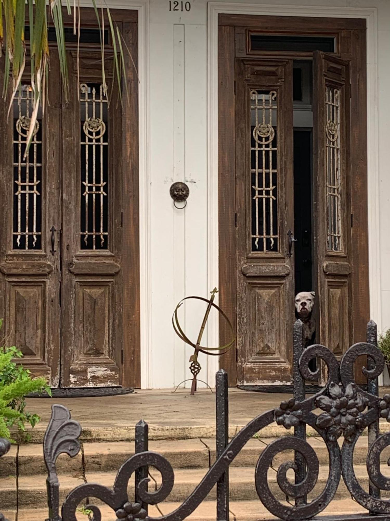 The Dragonfly Treme Guest House New Orleans Ngoại thất bức ảnh