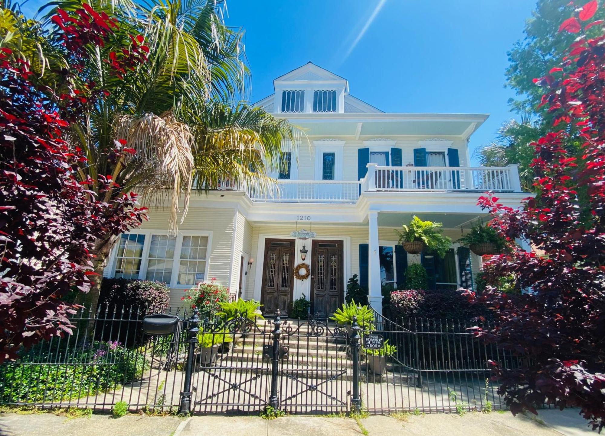The Dragonfly Treme Guest House New Orleans Ngoại thất bức ảnh