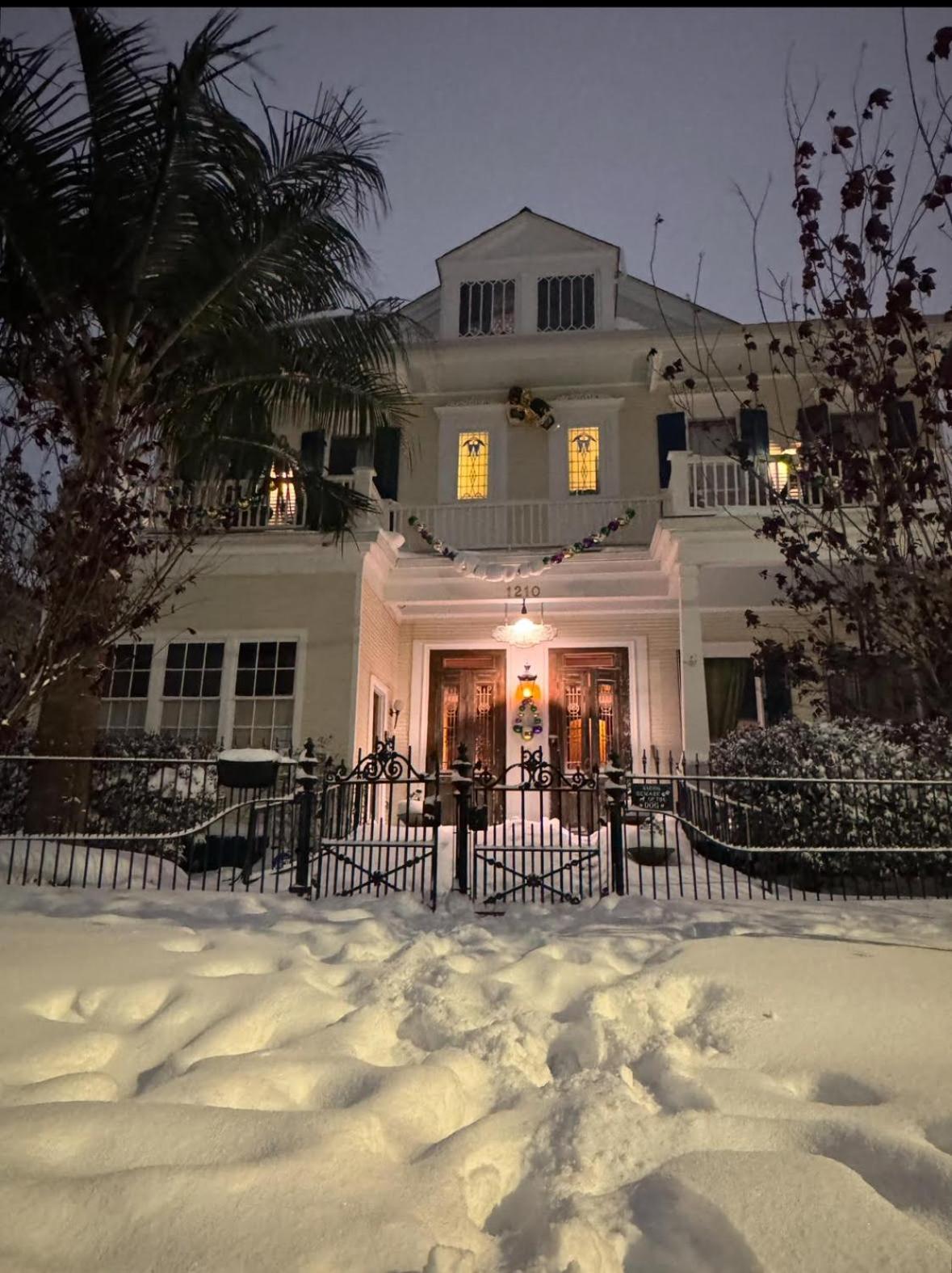 The Dragonfly Treme Guest House New Orleans Ngoại thất bức ảnh